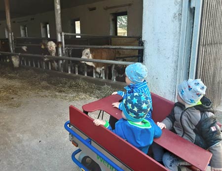 Krippengruppe beim Bauernhof