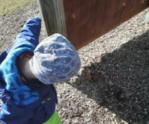 Osternsuche im Egglkofener Kinderland